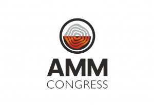 AMM-Logo1-300x205