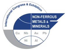 logo-NFM+minerals-прозрачный-фон-e1550816341310