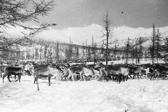 chukotka-03-678x452