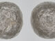 alrosa-01-80x60