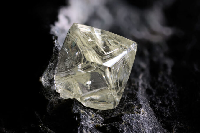 20-noya-alr-20-noya-alr-678x452