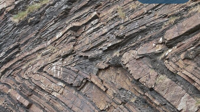 11-fev-ppgho-11-fev-ppgho-678x381