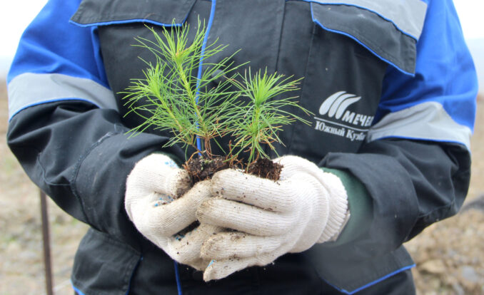 img-7965-img-7965-678x414