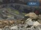 26-avg-omsk-26-avg-omsk-80x60